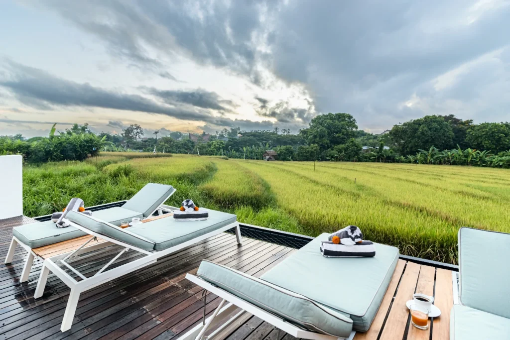 Modern villa with rice field views in Berawa, Canggu